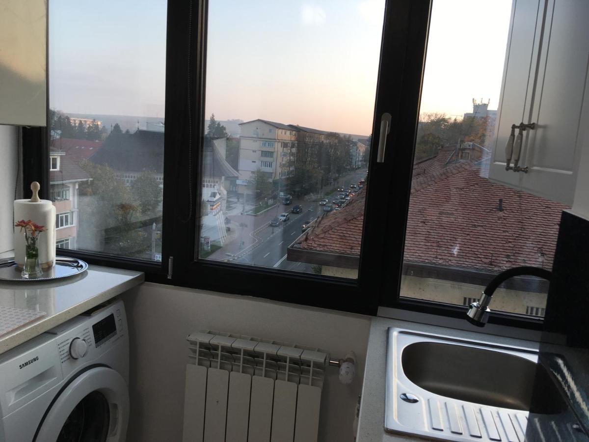 Splendid View Apartment Suceava Luaran gambar